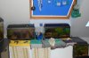 DSC_2546.JPG