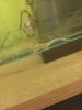image.jpeg image.jpeg