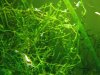 upload_2016-4-5_22-43-36.jpeg