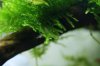 DSC04388.JPG