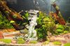 Bild006_neu_mit_Drache.jpg Bild006_neu_mit_Drache.jpg