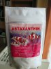 Astaxanthan.jpg Astaxanthan.jpg