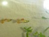 guppy4.jpg