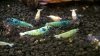 WP_20160413_16_23_39_Pro.jpg