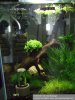 Aquarium_klein.jpg Aquarium_klein.jpg