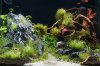 DSC01474.jpg