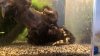 WP_20160501_18_03_59_Pro.jpg WP_20160501_18_03_59_Pro.jpg