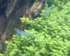 _20160501_211143.JPG _20160501_211143.JPG
