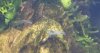 _20160501_211517.JPG _20160501_211517.JPG