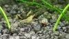 20160512_201359.jpg
