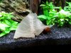 20160529_090921.jpg