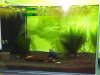 soil-becken-02.jpg