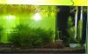 soil-becken-01.jpg