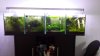 20160610_112815.jpg 20160610_112815.jpg