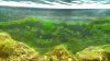 20160612_215517.jpg 20160612_215517.jpg