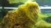 20160612_215526.jpg 20160612_215526.jpg