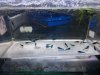 rps20160613_204501.jpg rps20160613_204501.jpg