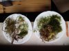 IMG_20160616_152008.jpg