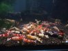rps20160625_102051_984.jpg rps20160625_102051_984.jpg