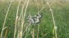 DSC_9070-01.jpeg