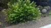 20160708_190351.jpg 20160708_190351.jpg