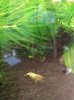 20160210_165435.jpg