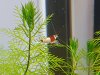 20160719_234858-800x600.jpg 20160719_234858-800x600.jpg