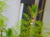 20160719_234828-800x600.jpg 20160719_234828-800x600.jpg