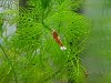 20160719_234603-800x600.jpg 20160719_234603-800x600.jpg