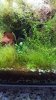 20160808_122911.jpg 20160808_122911.jpg
