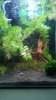 20160621_103435.jpg 20160621_103435.jpg