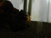 DSCN8040.JPG