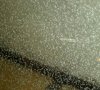 20161002_190049-1-1.jpg