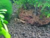 20161017_200228-800x600.jpg 20161017_200228-800x600.jpg