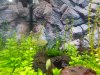 20161017_211228-800x600.jpg 20161017_211228-800x600.jpg