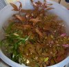 103_1685.jpg 103_1685.jpg