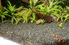 20161026_2.JPG 20161026_2.JPG