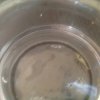 image.jpeg image.jpeg