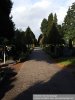 Friedhof_klein.jpg