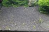 IMG_0307.JPG IMG_0307.JPG