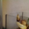image.jpeg