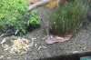 IMG_0513.JPG IMG_0513.JPG