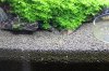 IMG_0518.JPG IMG_0518.JPG