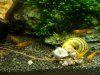 20161209_180416.jpg