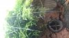 20161213_073449.jpg 20161213_073449.jpg