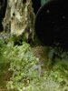 IMG-20170102-WA0030.jpg