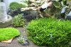 IMG_0917.JPG IMG_0917.JPG