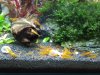 20170114_165049.jpg