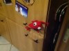 image.jpeg