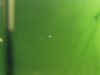 upload_2017-1-17_17-53-36.jpeg upload_2017-1-17_17-53-36.jpeg